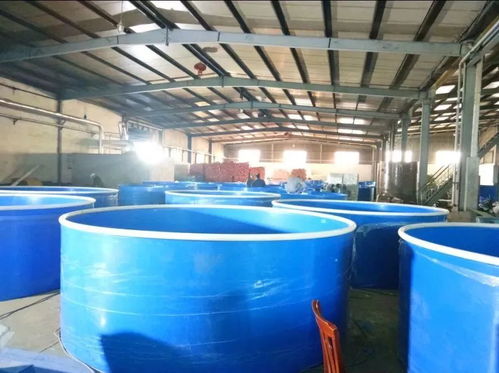 数字引擎赋能农业现代化——德清新港省级现代农业园区以软件开发再获殊荣